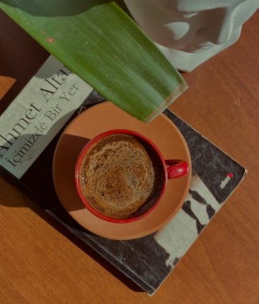 ahmet arif biography